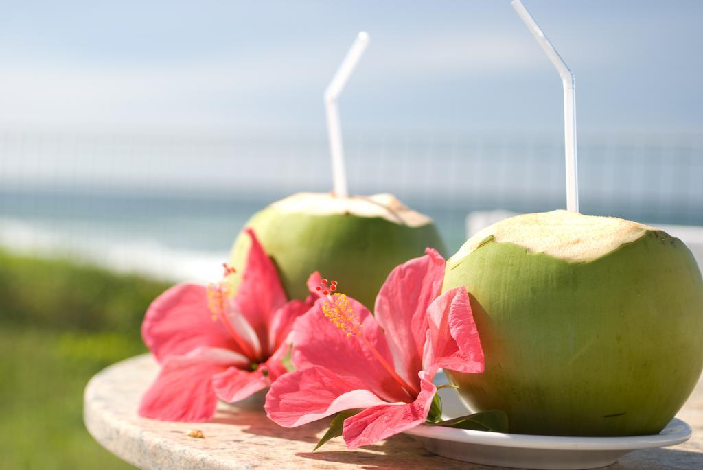 Oyo Hotel Arembepe Beach Hotel, Camacari Luaran gambar